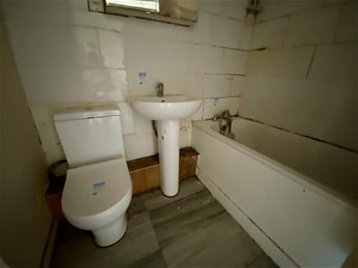 Picture 7